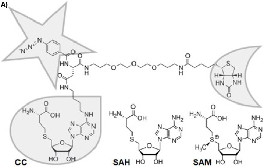 Figure 1a