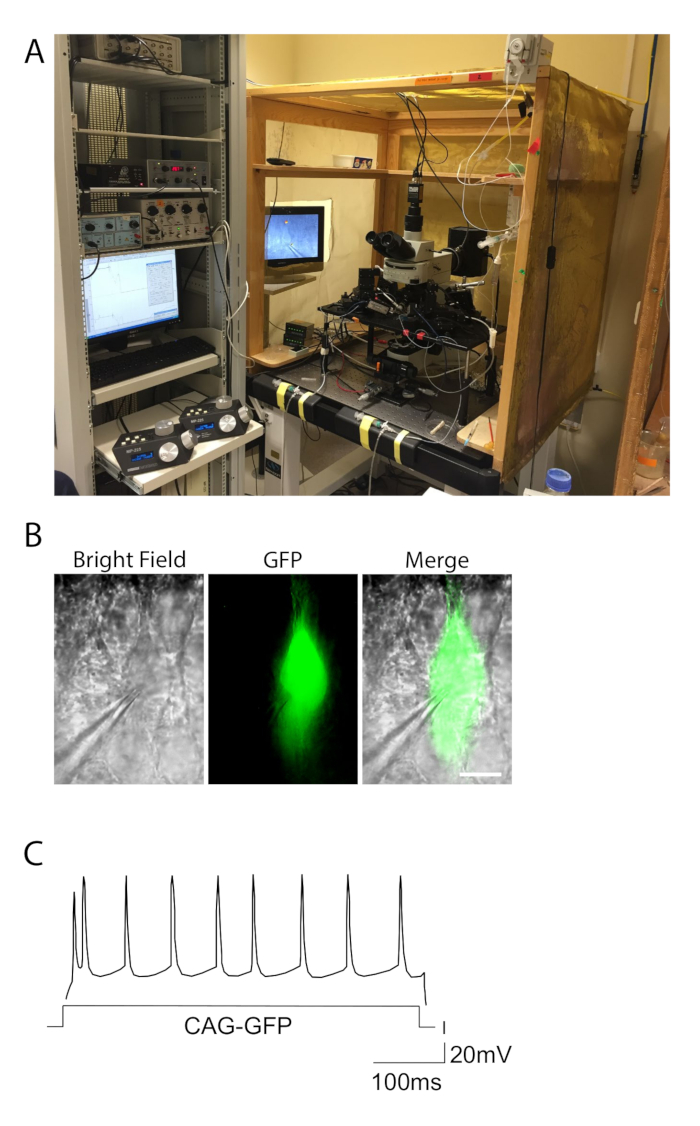 Figure 1