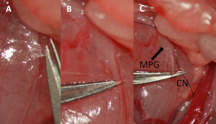 Figure 6