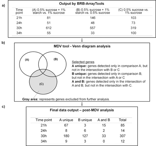 Figure 4.2