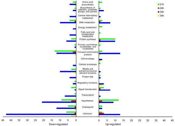 Figure 4.3