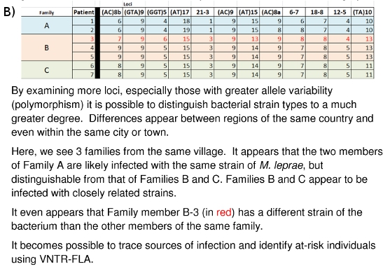 Figure 10b