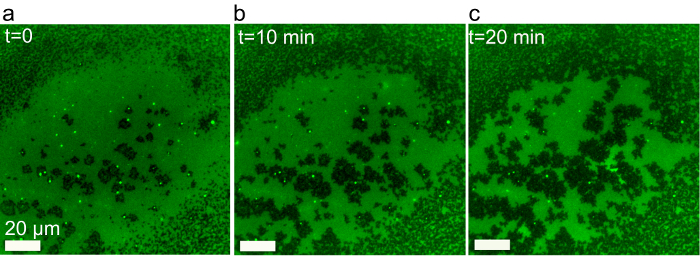 Figure 9