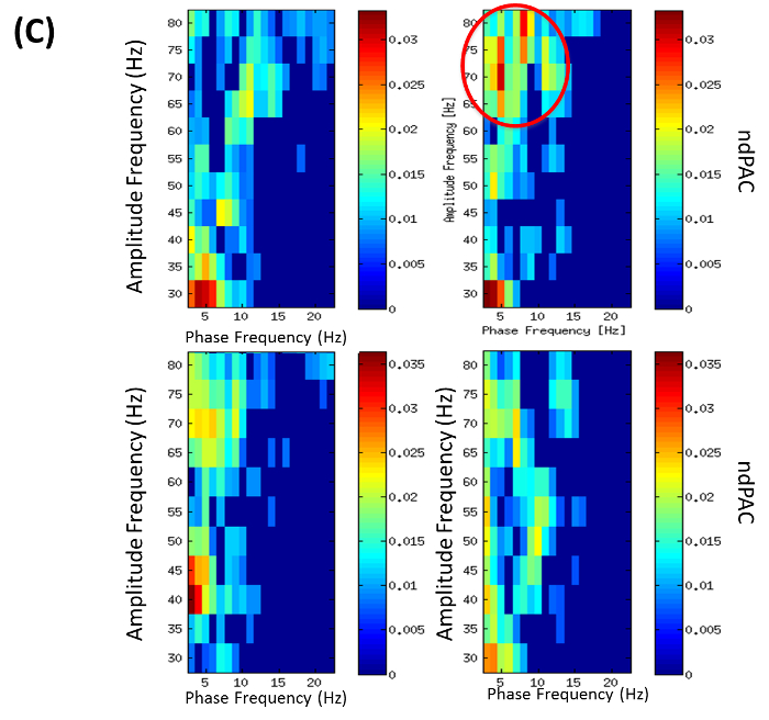 Figure 4C