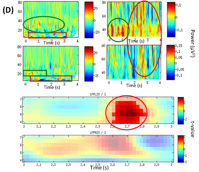 Figure 4D