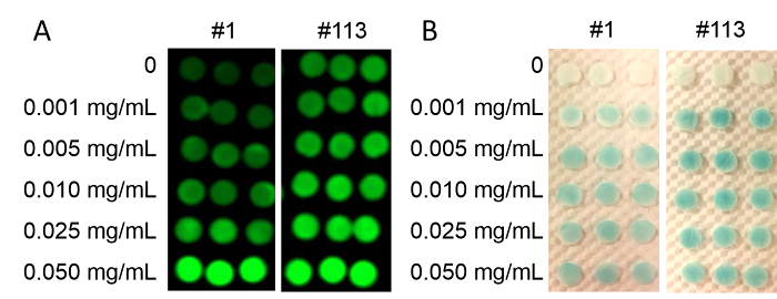 Figure 5