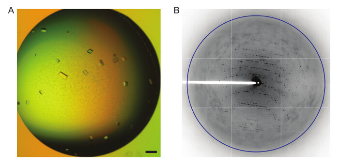 Figure 7