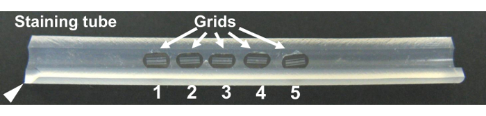 Figure 13