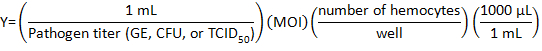 Equation 2