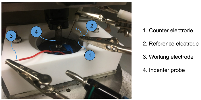 Figure 5