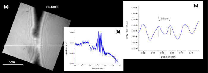 Figure 5