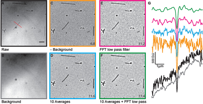 Figure 4