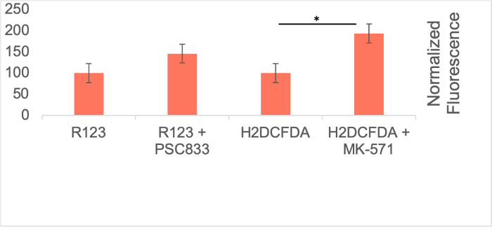 Figure 6