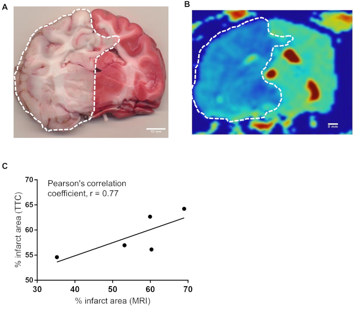 Figure 6