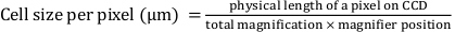 Equation 1