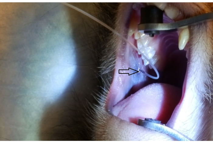 Figure 2