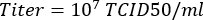 Equation 5