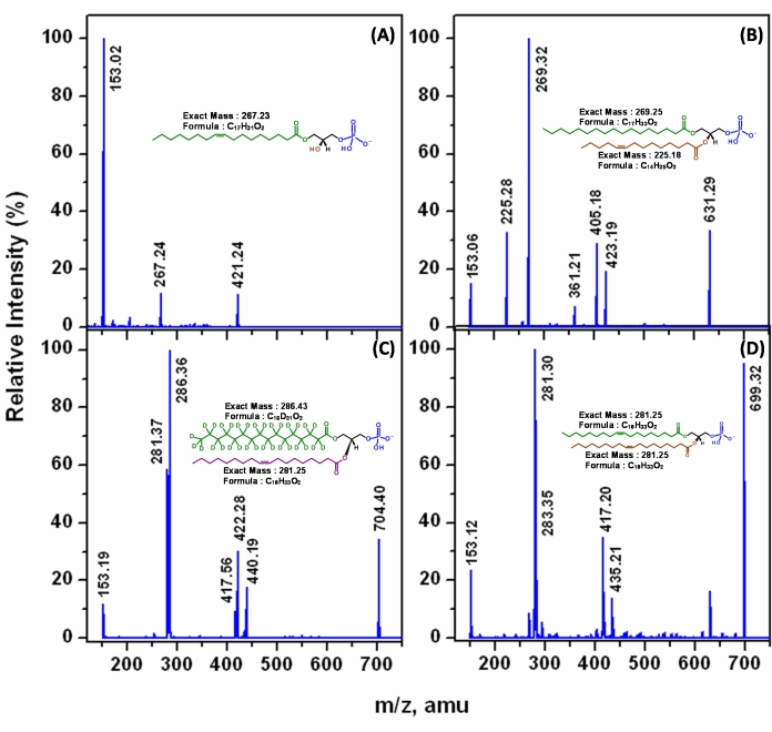 Figure 11