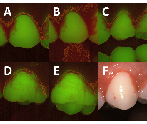 Figure 5