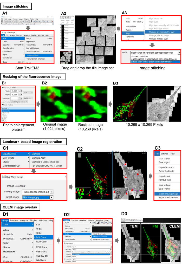 Figure 2