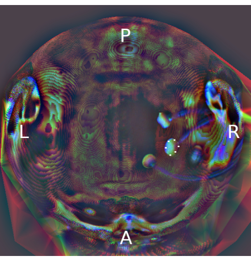 Figure 5